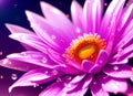 Purple daisy flowers with raindrops color enhanced. Ai generated