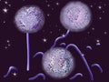 Purple dandelions in space.
