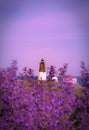 Purple dawn at the Lighthouse