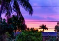 Purple dawn in Miami