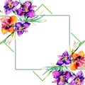 Purple daylily bouquet floral botanical flowers. Watercolor background illustration set. Frame border ornament square.