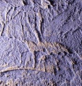 Purple decorative plaster as a background Royalty Free Stock Photo