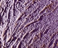 Purple decorative plaster as a background Royalty Free Stock Photo