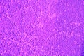 Purple decorative plaster. The texture of the plaster woodworm. Abstract rough background Royalty Free Stock Photo