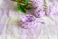 Purple DIY friendship bracelet with unusual braiding on lilac textile next to flowers Royalty Free Stock Photo