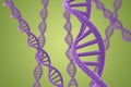 Purple DNA helices on a green background Royalty Free Stock Photo