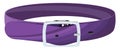 Purple Dog Collar, Icon