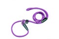 Purple dog leash for training on a white background. Royalty Free Stock Photo