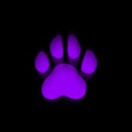 purple dog paw prints, purple dog paws black background, purple cat paws, purple dog footprints, dog footprint drawing.