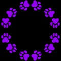 purple dog paw prints, purple dog paws black background, purple cat paws, purple dog footprints, dog footprint drawing.