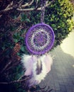 Purple dreamcatcher