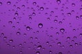 Purple Drops