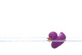 Purple duck sinking