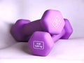 Purple dumbbell isolated, dumbbell concept Royalty Free Stock Photo