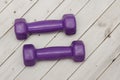 Purple dumbbells