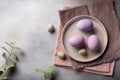 Purple easter eggs in a ceramic plate on a gray background with green branches.