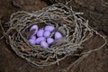 Purple easter eggs lie in the nest on the ground Royalty Free Stock Photo