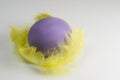 Purple Egg with yellow plume Royalty Free Stock Photo