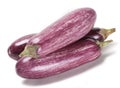 Purple eggplant