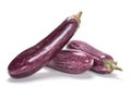 Purple eggplant