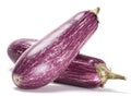 Purple eggplant