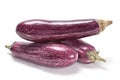 Purple eggplant