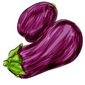 Purple Eggplant