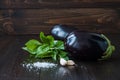 Purple eggplant (aubergine) with basil and garlic on dark wooden table. Fresh raw farm vegetables - harvest fr Royalty Free Stock Photo