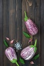 Purple eggplant, garlic and basil leaves from above on the old wooden board with free text space. Fresh harvest from the garden. T Royalty Free Stock Photo