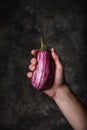 Purple eggplant in hand