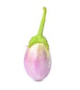 Purple eggplant isolated on whit Royalty Free Stock Photo