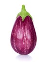 PURPLE eggplant