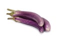 Purple eggplant