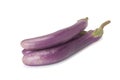 Purple eggplant