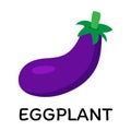 Purple eggplant, vector illustration in cartoon flat stye. Food and vegetable concept. Print for recipes, restaurant Royalty Free Stock Photo