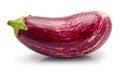 Purple eggplant vegetable isolated