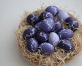 Easter eggs with floral decor