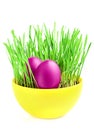 Purple eggs in green grass. Royalty Free Stock Photo