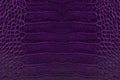 Purple embossed leather texture background Royalty Free Stock Photo