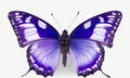 Purple emperor butterfly. Animal photography. Generative AI