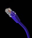 Purple Ethernet Cable Royalty Free Stock Photo