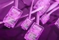 Purple ethernet plug background Royalty Free Stock Photo