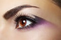 Purple Eye Makeup