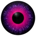 Purple eye texture with black fringe Royalty Free Stock Photo