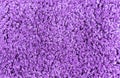 Purple fabric cloth texture for background and wallpaper Royalty Free Stock Photo