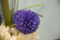 Purple fake ball flower. Royalty Free Stock Photo