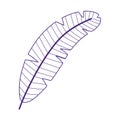 Purple feather cartoon isolated design icon white background Royalty Free Stock Photo