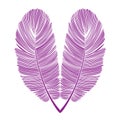 Purple Feather Heart Isolated Design on White