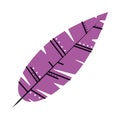 purple feather icon