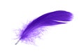 Purple Feather Isolated on White Background Royalty Free Stock Photo